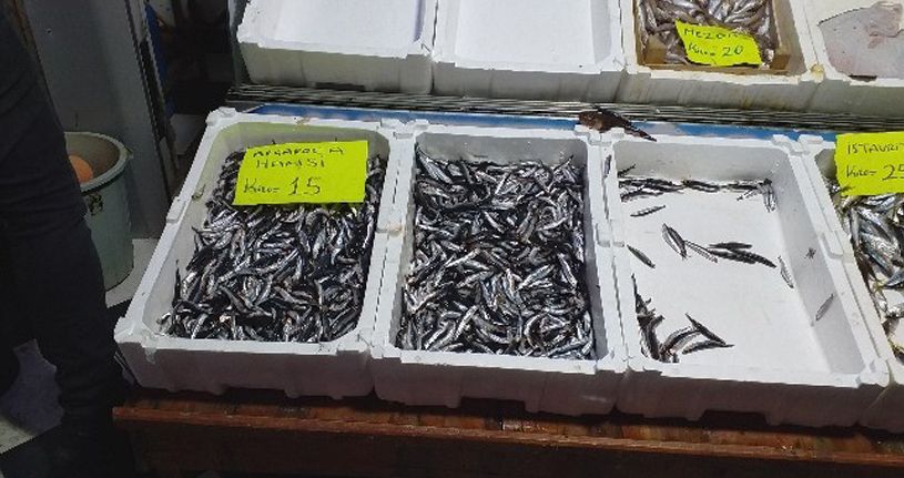 Hamsi'nin Fiyatı Yükselişe Geçti
