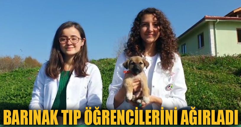 Öğrenciler havyan barınağını ziyaret etti