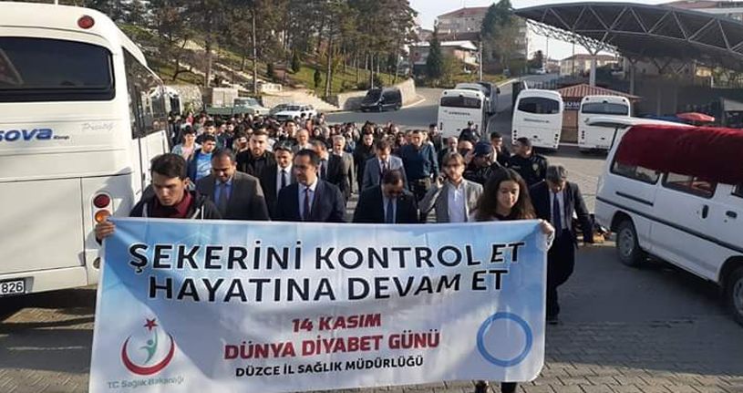 Gümüşova'da