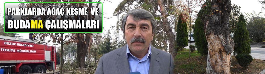 Geçmişte Yapılan Hatalı Budamaları Düzeltiyoruz