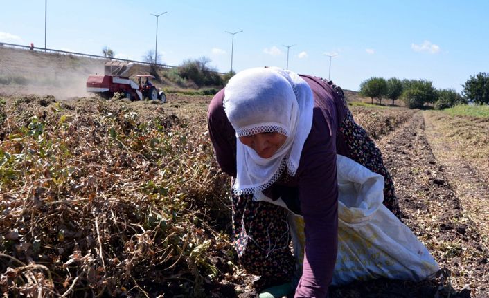 Bakan Pakdemirli'den çiftçiye ödenek müjdesi