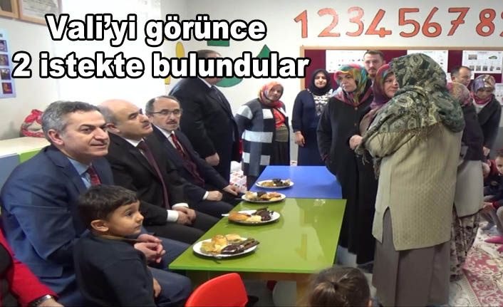 Mamure Kadınları İstedi Vali Söz Verdi