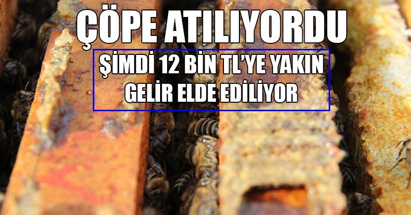 Antibiyotik Yerine Propolis