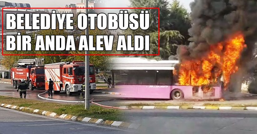 Yolcular Kendilerini Dışarı Attı