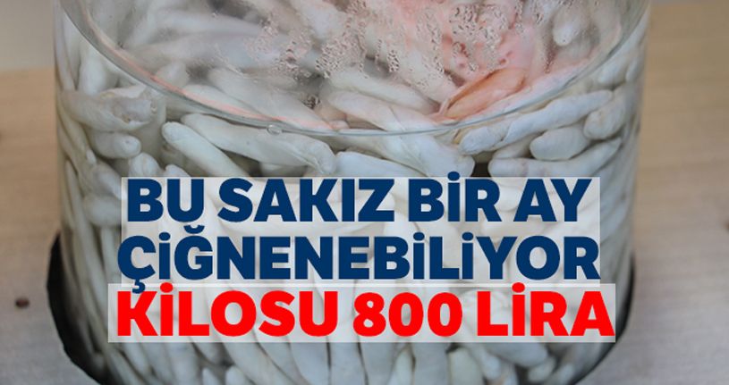 Bu sakız bir ay çiğnenebiliyor