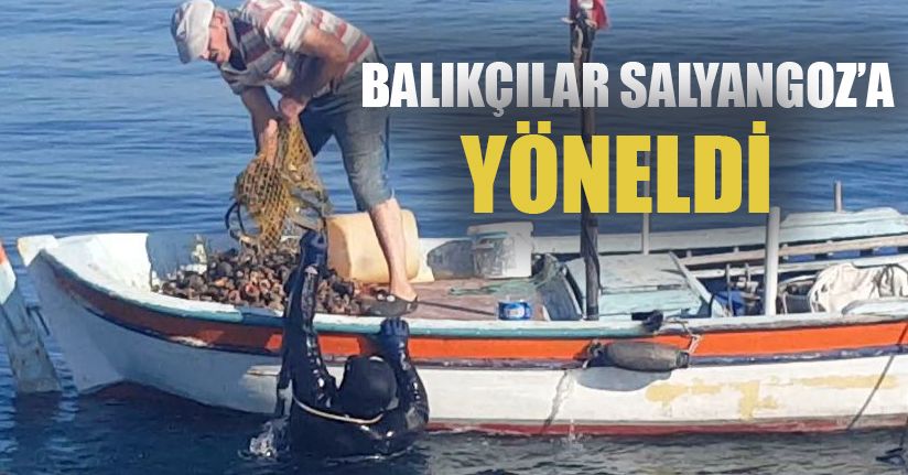 Ekmeklerini Böyle Kazanıyorlar