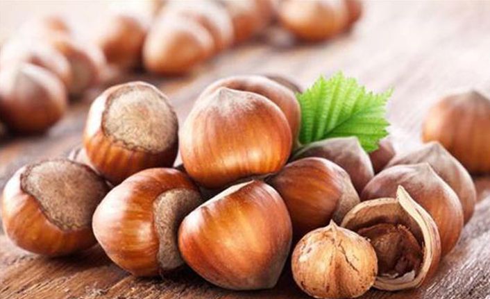 Fındık AR-GE çalışmalarında dünyaya biz yön vermeliyiz