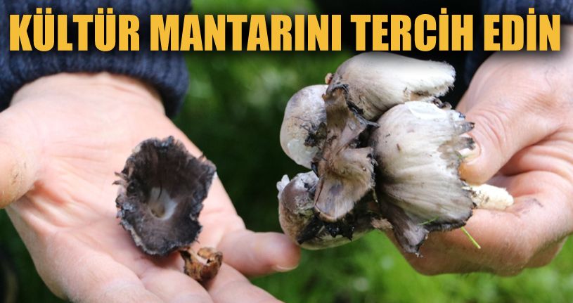 Mantar zehirlenmelerine karşı uyarı