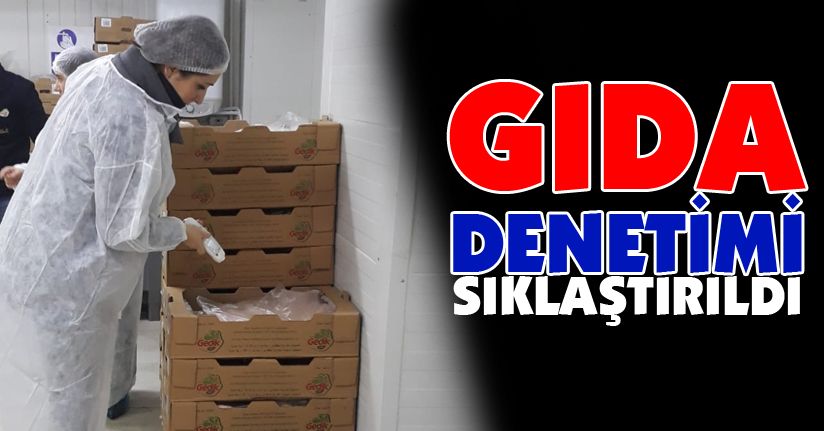Gıda denetimi seferberliği başlatıldı