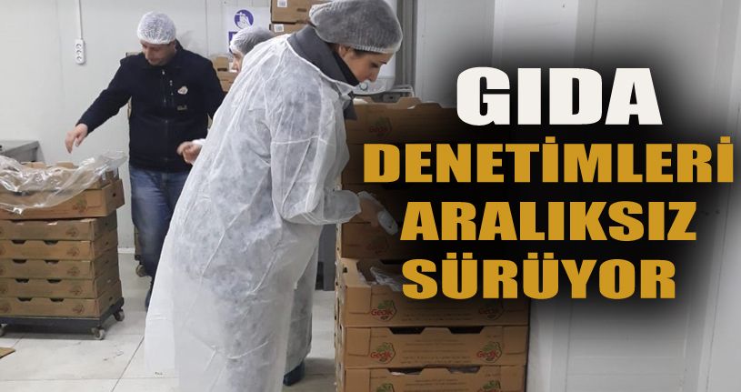 Ürün bazlı gıda denetimi yapıldı