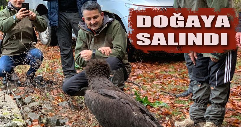 Bakan Pakdemirli kara akbabayı doğaya saldı