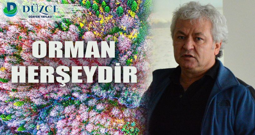 Ağaçlandırmayı Kısıtlayan Etmenler Tartışıldı