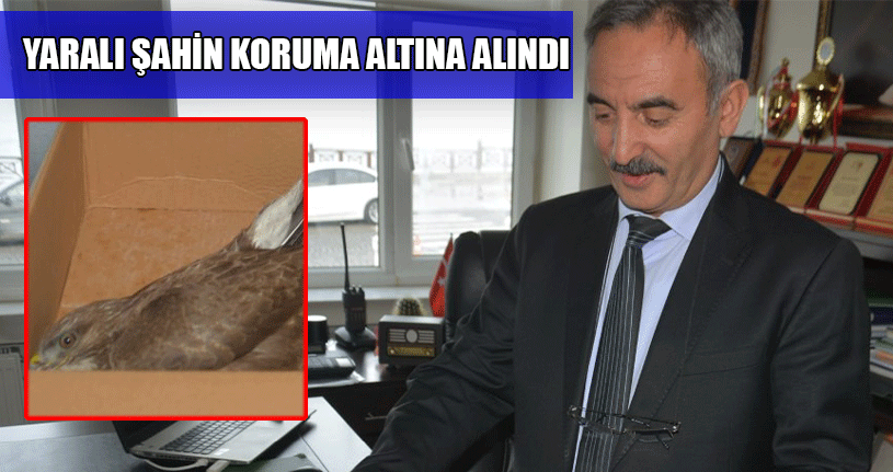 Yüksek Gerilim Hattına Çarparak Yaralandı