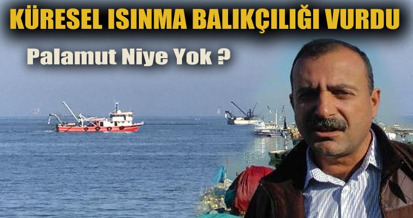 Balıktan umudu kesince midye avcılığına başladılar