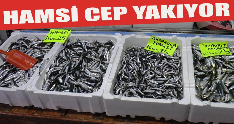 Karadeniz'de hamsi fiyatı tavan yaptı
