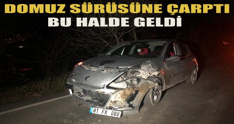 Domuz sürüsüne çarpan araç hurdaya döndü