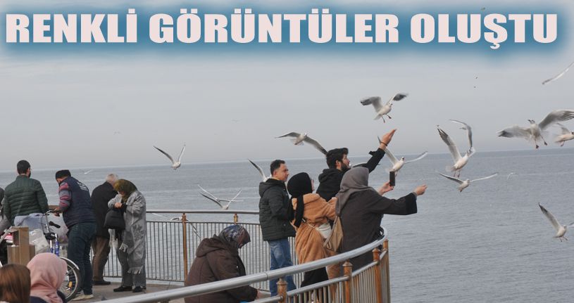 Doyumsuz manzarada Martıların ekmek kavgası