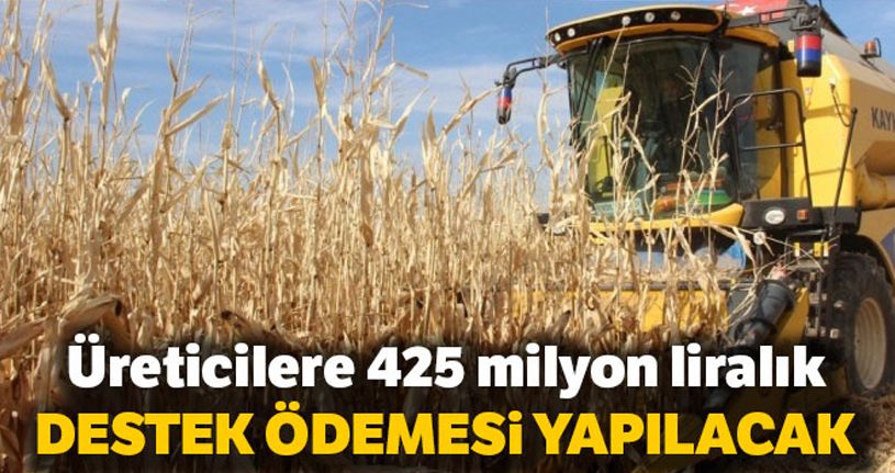 Üreticilere 425 milyon liralık destek ödemesi yapılacak