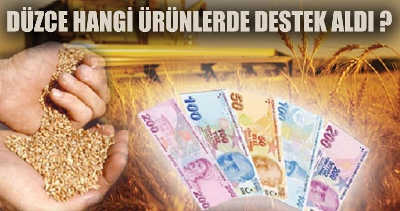 2020’de desteklenecek tarım ürünleri açıklandı
