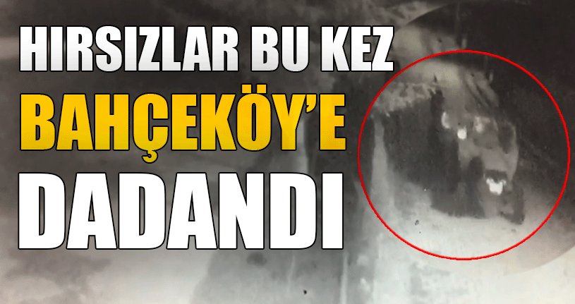 Hırsızlık Anı An Be An Kameralara Yansıdı