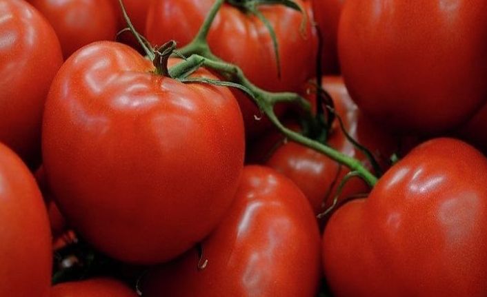 Domatesin Fiyatı Ne Zaman Düşecek ?