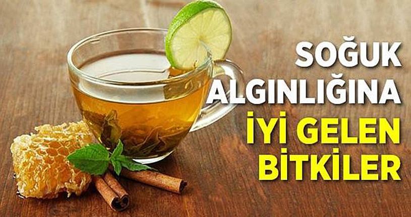 Bu Besinler Soğuk Algınlığına İyi Geliyor