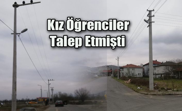 Vali Dağlı talimat verdi yurt yolu aydınlatıldı
