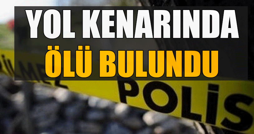 Fabrika Bekçisi Yol Kenarında Ölü Bulundu