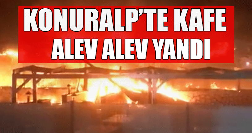Polis Kundaklama İhtimali Üzerinde Duruyor
