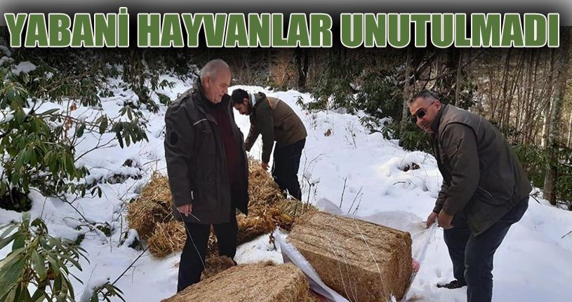 Doğaya buğday, yonca ve saman bırakıldı