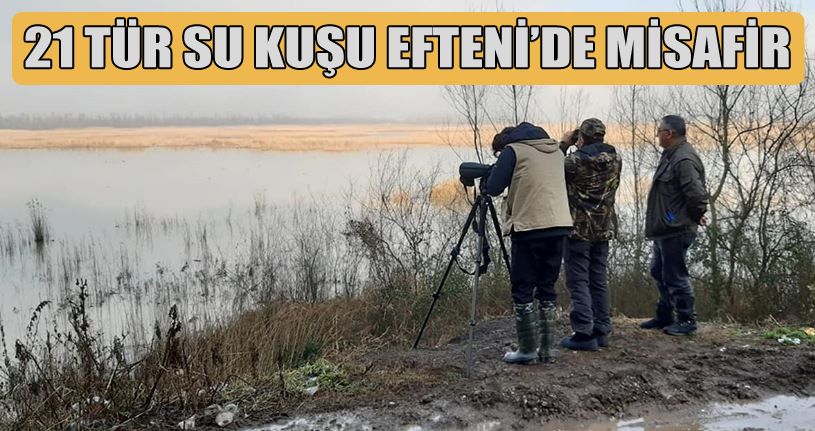 Efteni Gölünün misafirleri tespit ediliyor
