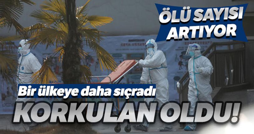 Çin'deki salgında ölü sayısı 9'a yükseldi
