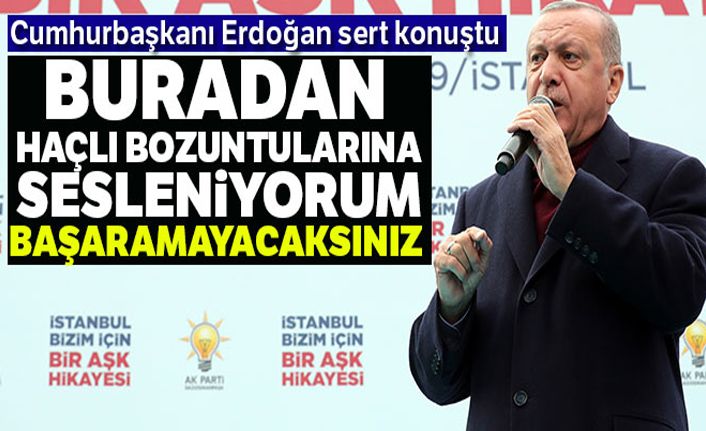 Cumhurbaşkanı Erdoğan: 'Biz bu dünyada yeniden bir haçlı-hilal mücadelesi istemiyoruz'