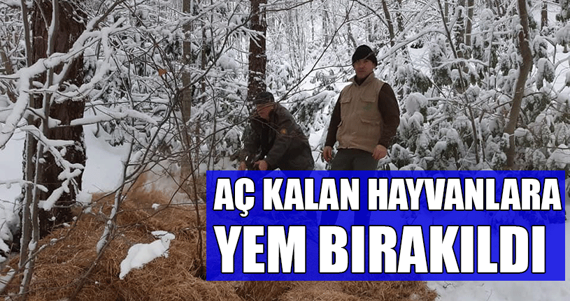 Yüksek Kesimlerde Kar Kalınlığı Yarım Metreyi Buldu