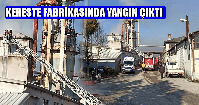 Dereli Tütüncü’de Fabrika Yangını
