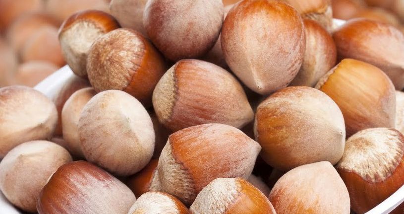 26 Ocak Pazar güncel fındık fiyatları