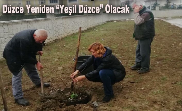 Bu Kampanyaya Sadece Fidan Bağışlanıyor
