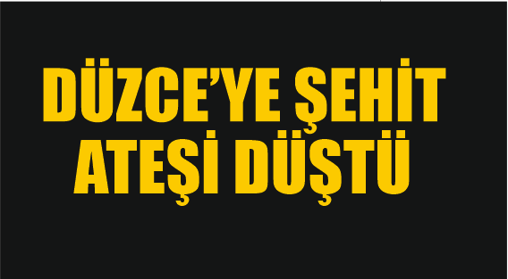 Düzce'ye Şehit Ateşi Düştü