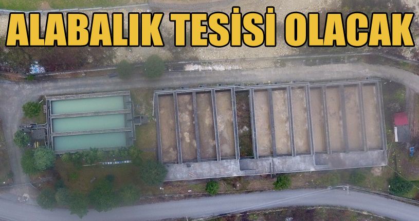 Akçakoca'daki eski arıtma tesisi alabalık tesisi oluyor