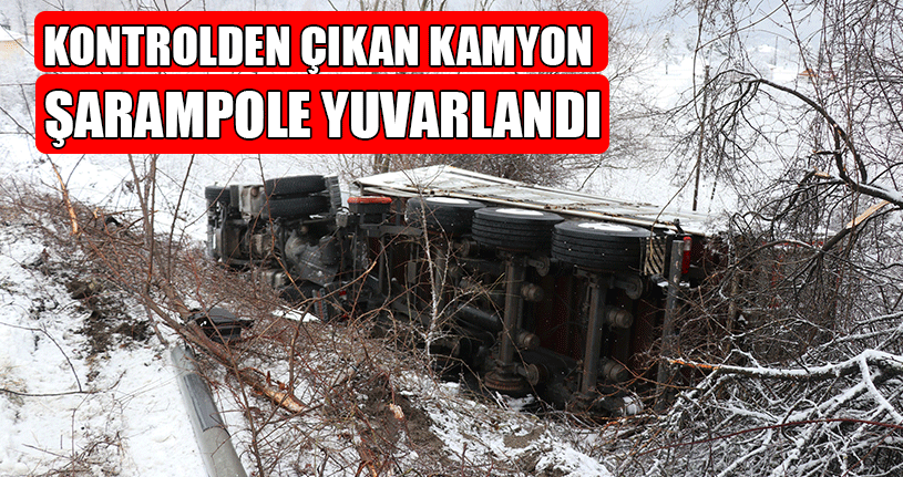 Kamyon Şarampole Yuvarlandı