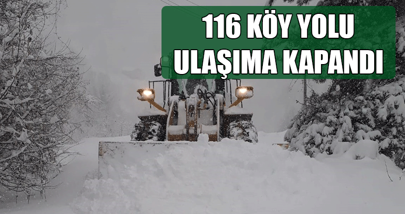 116 Köy Yolu Ulaşıma Kapandı
