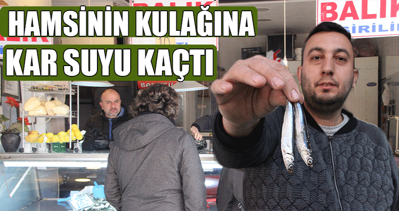 Yağlı Hamsi Tezgahtaki Yerini Aldı