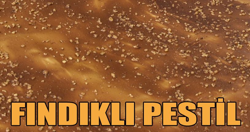 Organik Fındıklı Pestil Üretti