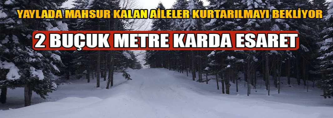 Aileler Yaylada Mahsur Kaldı
