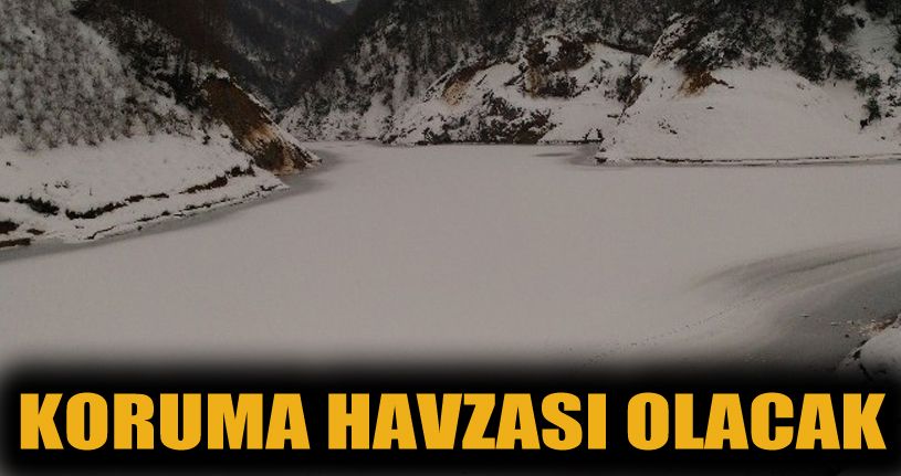 Baraj Havzası Ağaç Kesimine Kapatılıyor
