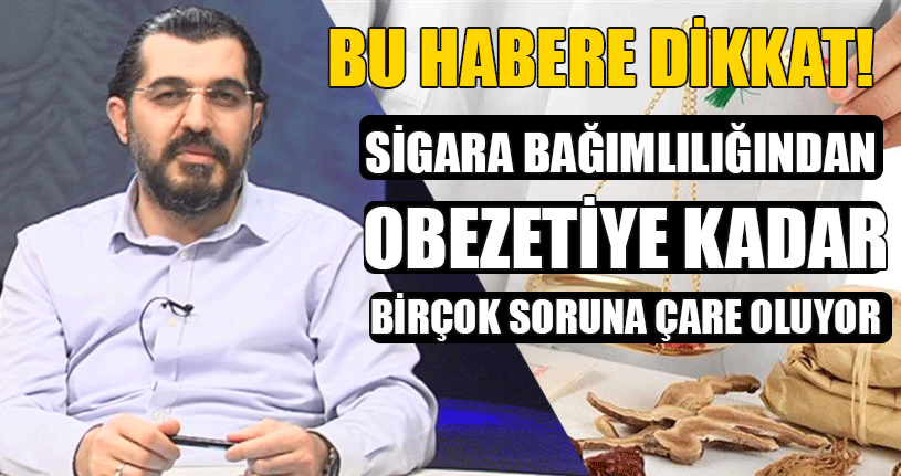 Prof. Dr. Kaya’dan Önemli Açıklamalar!