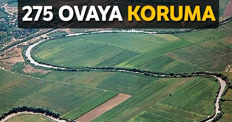 275 ovaya koruma