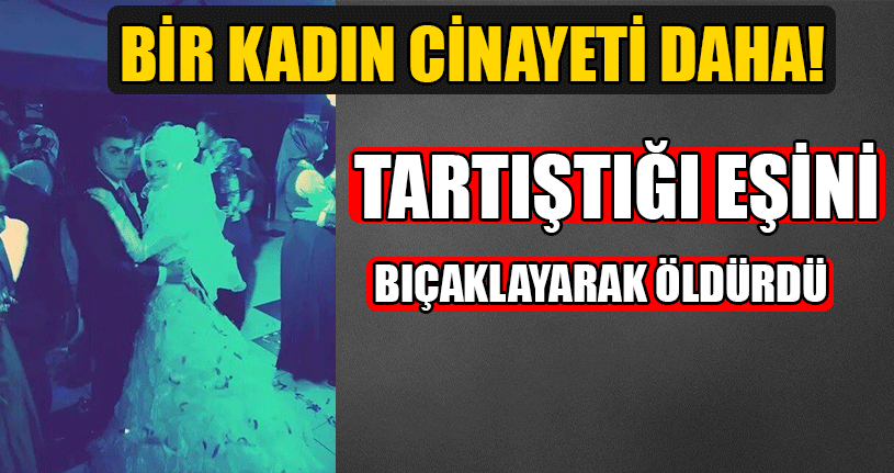 Tartıştığı Eşini Bıçaklayarak Öldürdü