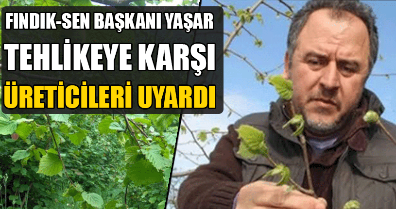 Fındık Üreticileri Bu Aylara Dikkat!