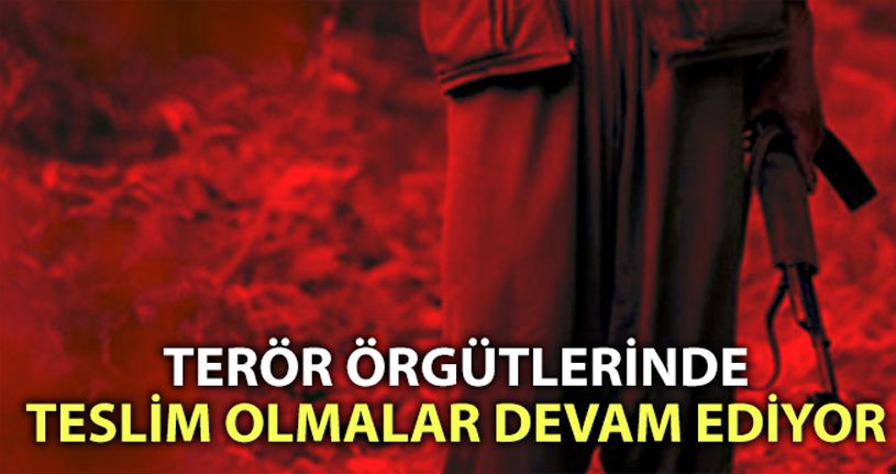 Şanlıurfa'da bir terörist teslim oldu